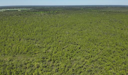 DJI_20230502104752_0013_V