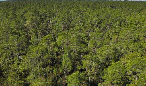 DJI_20230502095256_0011_V