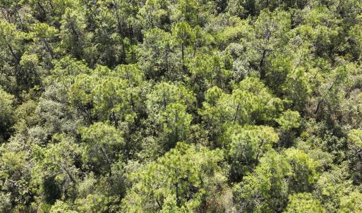 DJI_20230502105206_0027_V