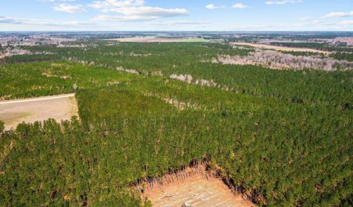 5-web-or-mls-DJI_0775