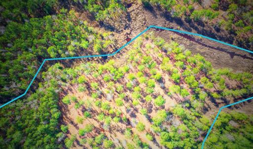 203 Paradox Point Drive lot lines