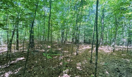 Screen Shot 2024-03-16 at 4.25.09 PM