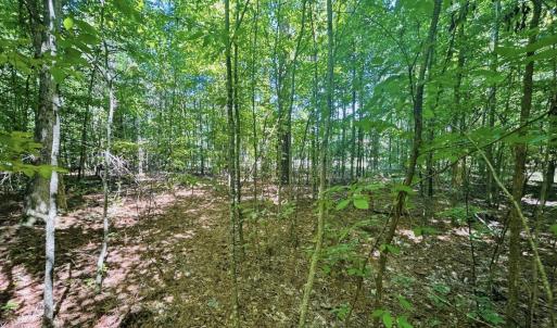 Screen Shot 2024-03-16 at 4.24.56 PM