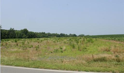 Field view