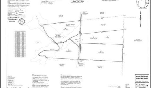 survey plat