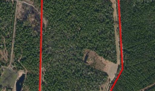 Aerial Image