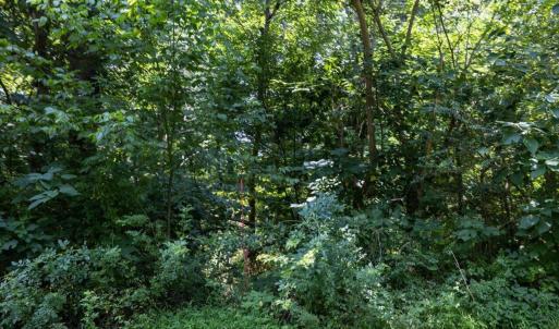 09-018-Tract01-Chatham-Parcel-14928-5Tra