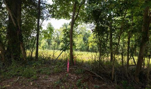 20-029-Tract02-Chatham-Parcel-14928-5Tra