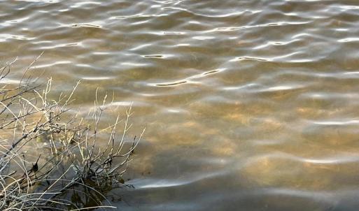 59CE0320-A81B-4E1A-920B-CF1EBD640277