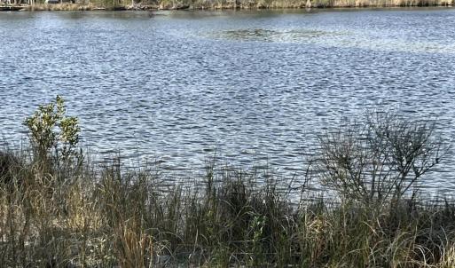 77829A33-1C9D-42AC-A9B1-82C6F600DD8B