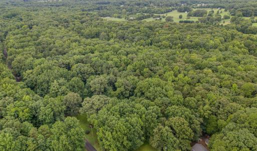 010_dji_20240724085845_0091_d-edit