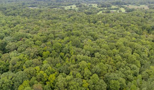 002_dji_20240724085255_0079_d-edit