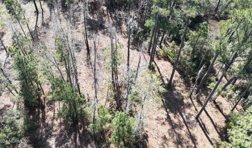 DJI_20240315121544_0068_D Large