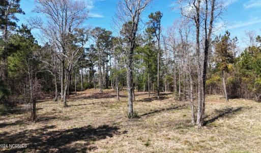 DJI_20240315120428_0027_D Large