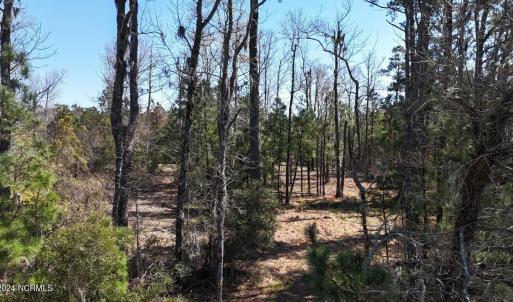 DJI_20240315132715_0107_D Large