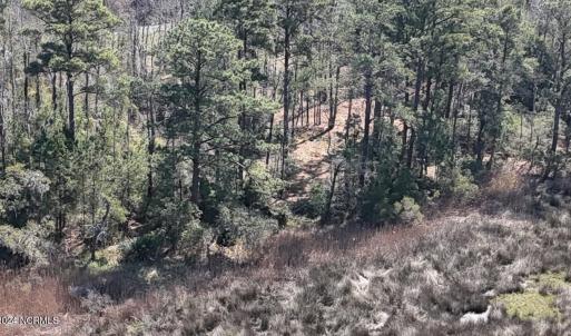 DJI_20240315121007_0047_D Large