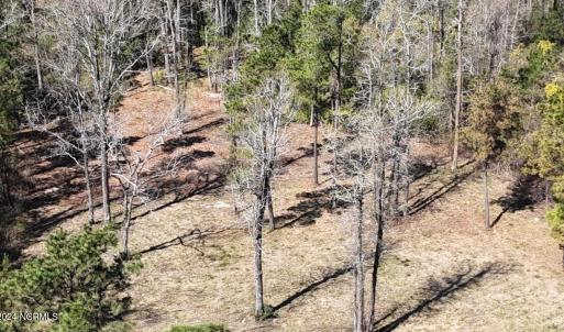 DJI_20240315120534_0029_D Large