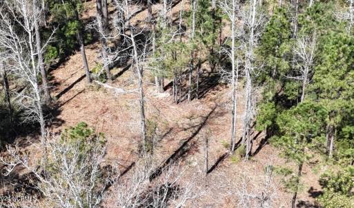 DJI_20240315120647_0035_D Large