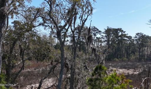 DJI_20240315121330_0059_D Large