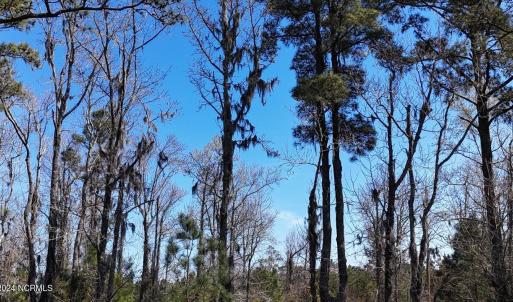 DJI_20240315132859_0112_D Large