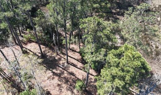 DJI_20240315121550_0069_D Large