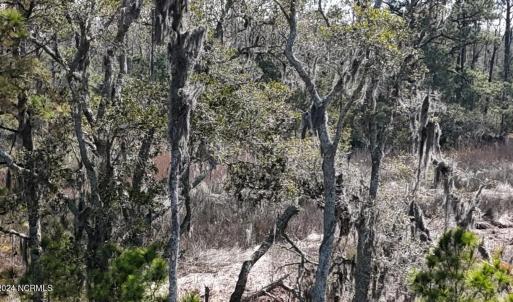 DJI_20240315121303_0057_D Large