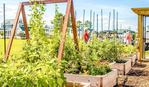 Community Garden