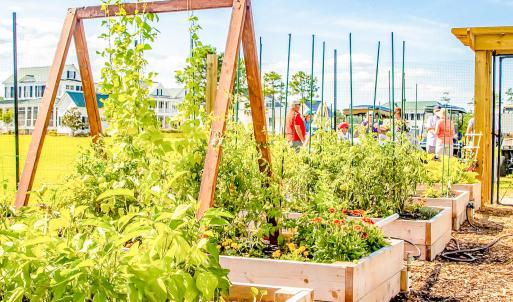 Community Garden