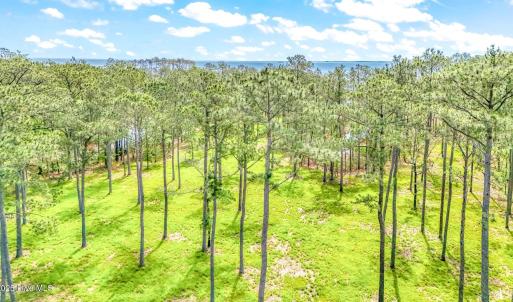 175 River Watch Road (20)