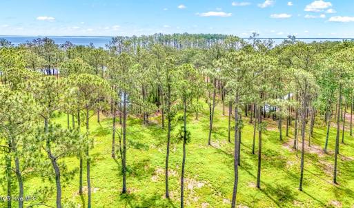 175 River Watch Road (14)