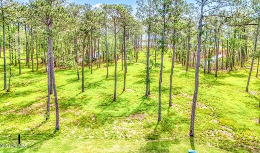 175 River Watch Road (21)