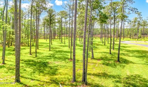 175 River Watch Road