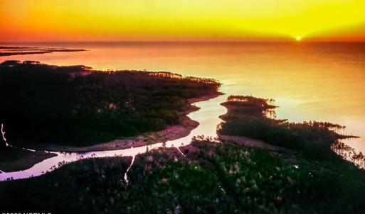_Gum Thicket and Neuse River