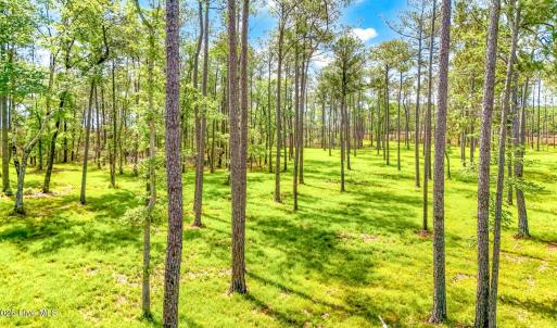 175 River Watch Road