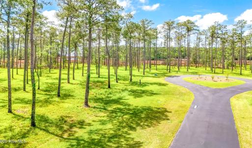 175 River Watch Road