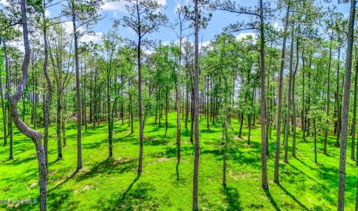 175 River Watch Road (23)