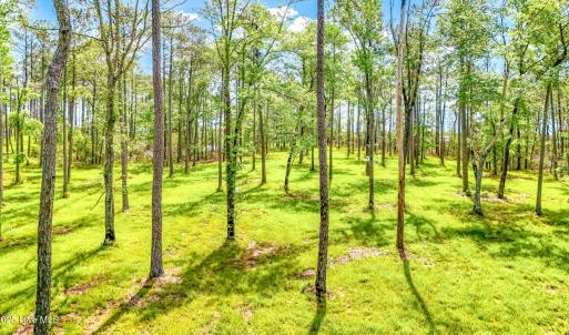 175 River Watch Road (9)