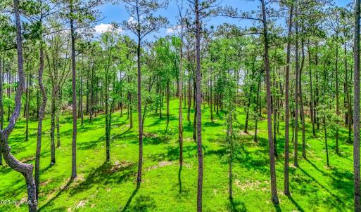 175 River Watch Road (22)