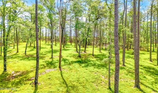 175 River Watch Road (8)