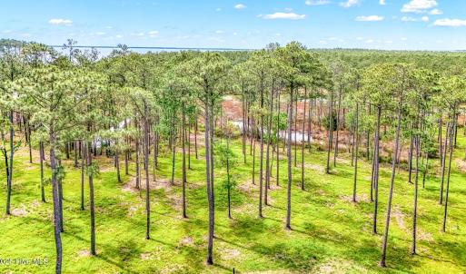175 River Watch Road (15)