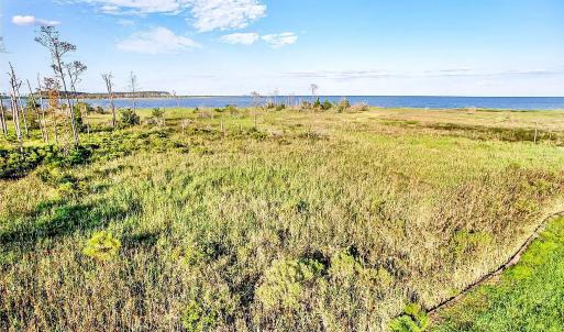 2024-08-21-18-16-25-096 (Large)