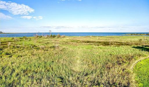 2024-08-21-18-17-58-665 (Large)