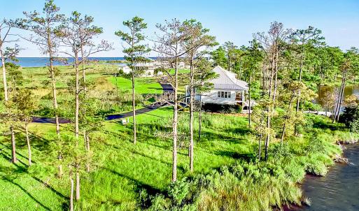 469 Ballast Point 81