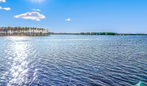 469 Ballast Point 81