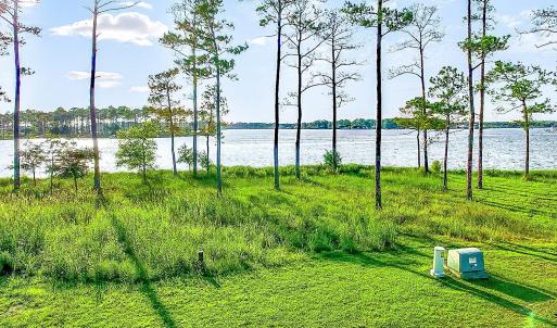 469 Ballast Point 81