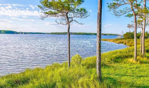 469 Ballast Point 81