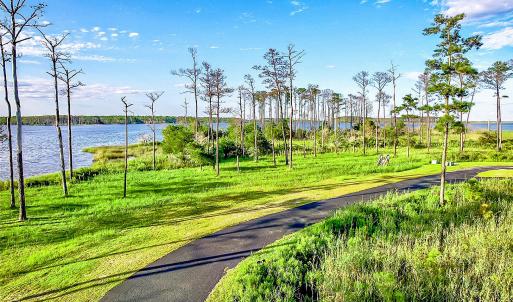 469 Ballast Point 81