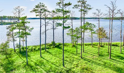 469 Ballast Point 81