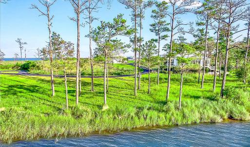 469 Ballast Point 81