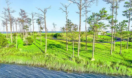 469 Ballast Point 81